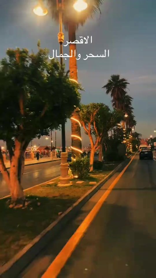 TikTok video thumbnail by fayez2260