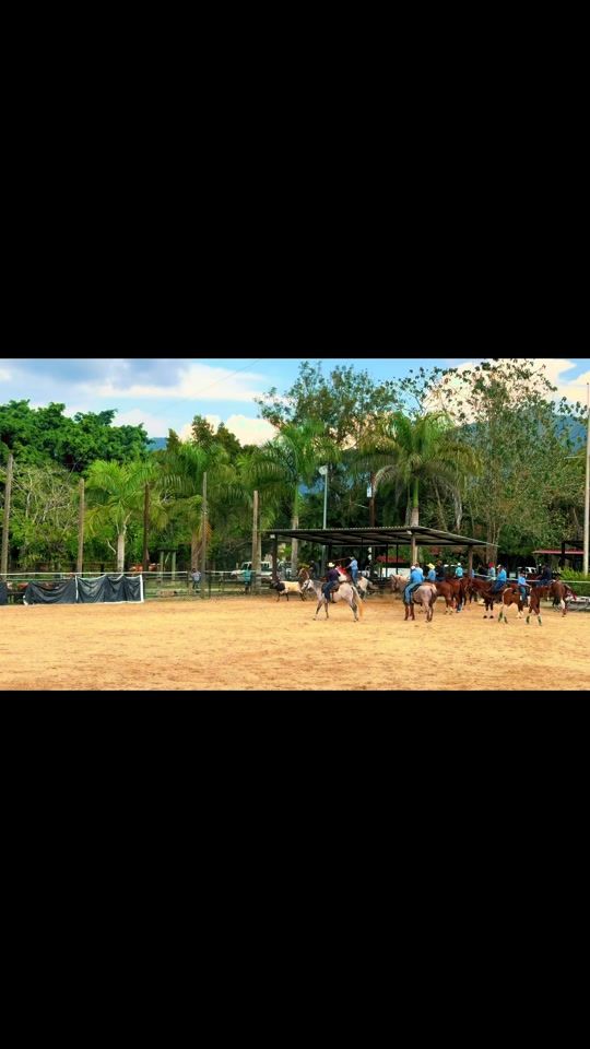 TikTok video thumbnail by jv_performancehorses