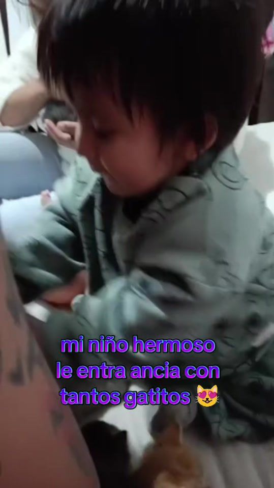 TikTok video thumbnail by josefina_0284