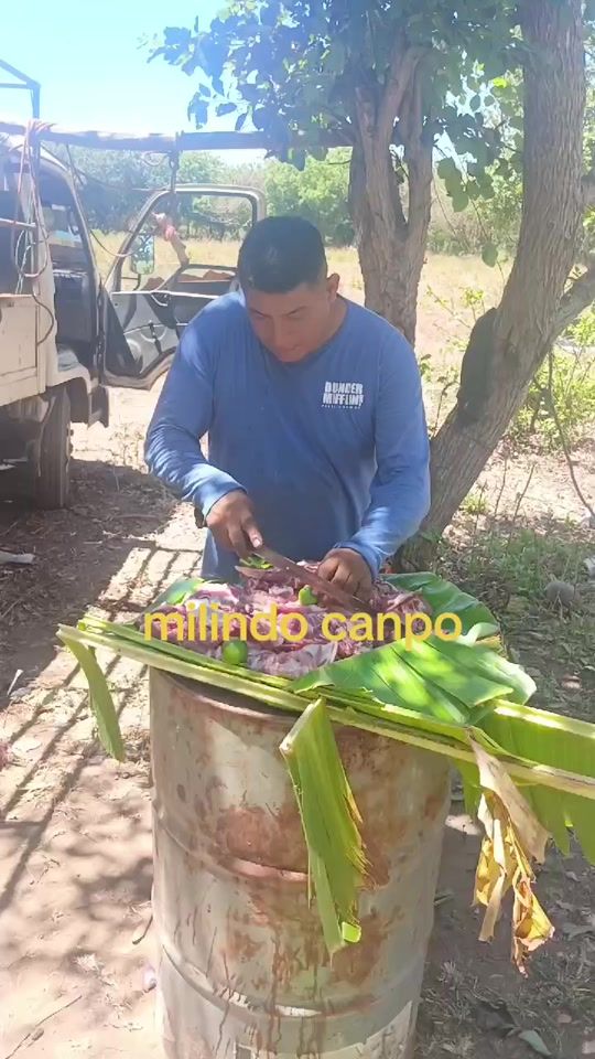 TikTok video thumbnail by elvinfranco.89