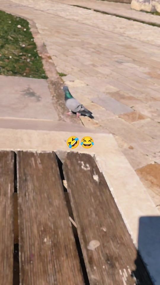 TikTok video thumbnail by shpiritim6