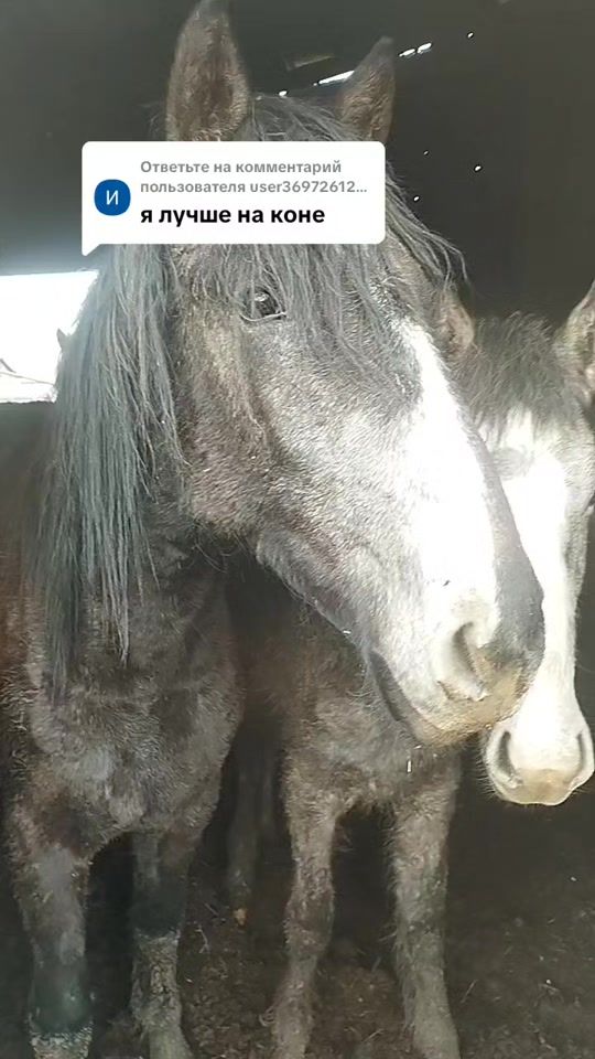 TikTok video thumbnail by volvo3986