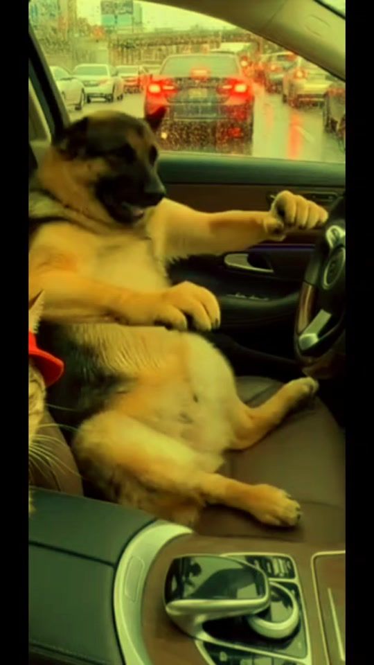 TikTok video thumbnail by cristiansantiagobolanos