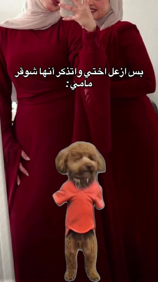 TikTok video thumbnail by donia_bu