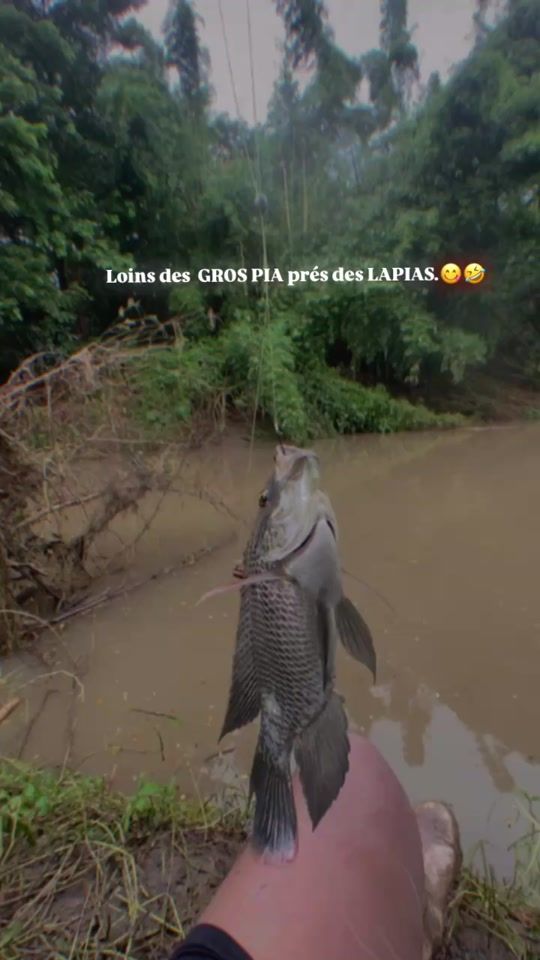 TikTok video thumbnail by _lvvweex_