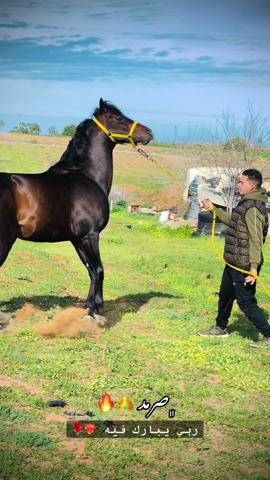 TikTok video thumbnail by hvg_7