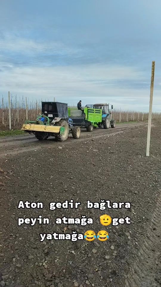 TikTok video thumbnail by dagli_017