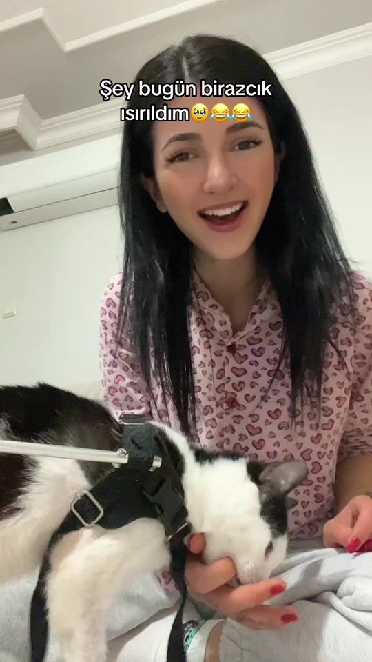 TikTok video thumbnail by semihaerdm