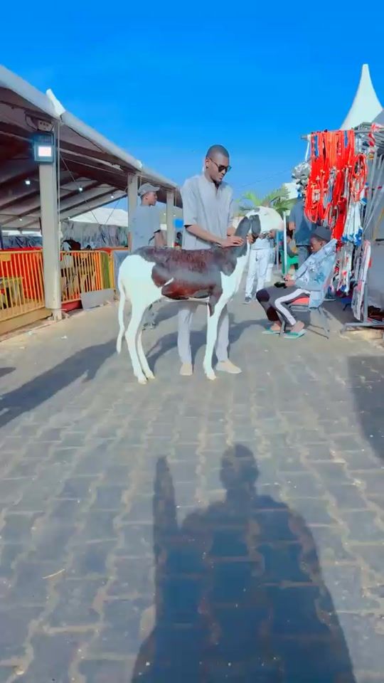 TikTok video thumbnail by mamecheikh_lo