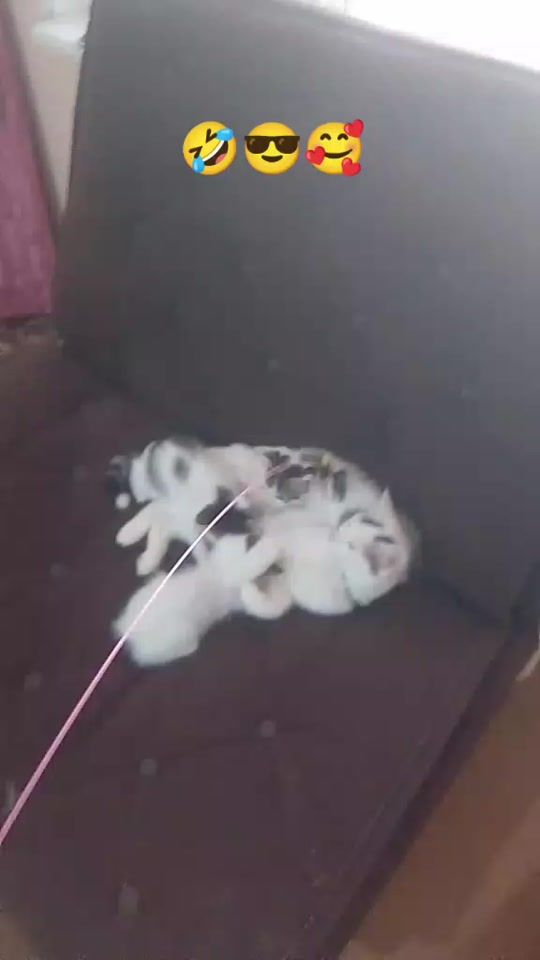 TikTok video thumbnail by dilim_21