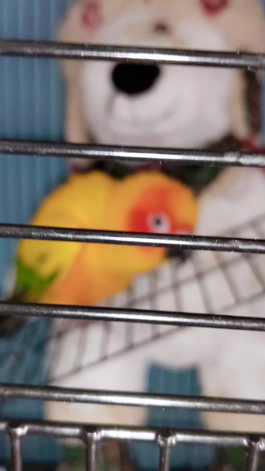 TikTok video thumbnail by rattanaluxsawut