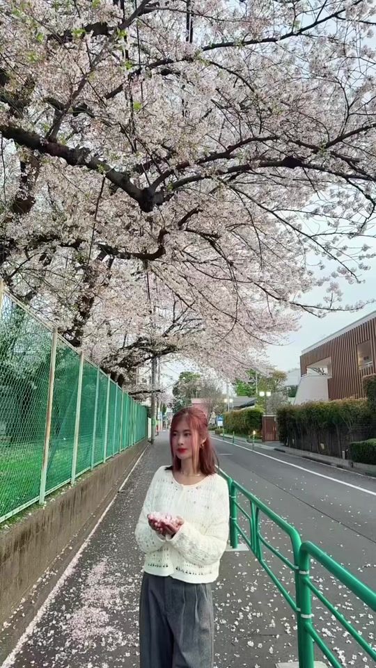 TikTok video thumbnail by zinmarhtun5754
