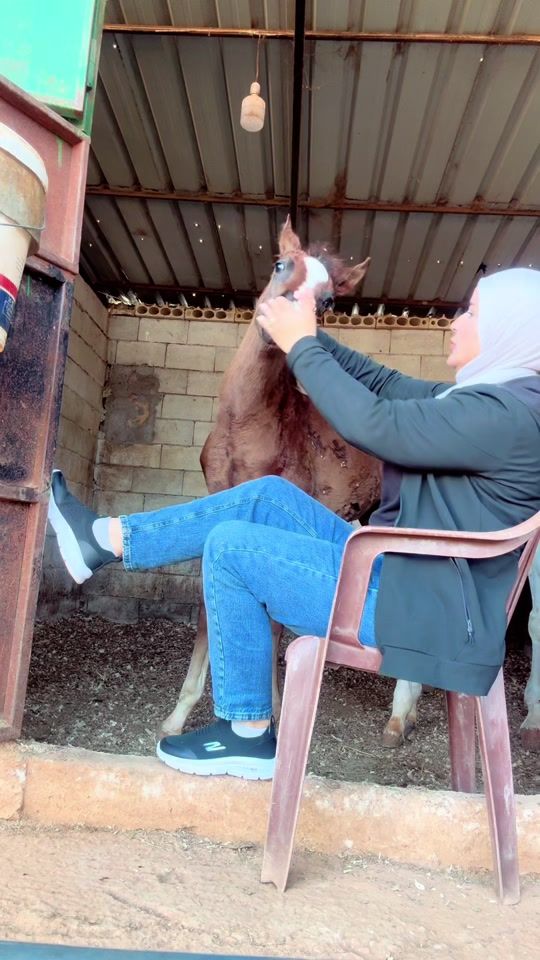 TikTok video thumbnail by manal_al_baba
