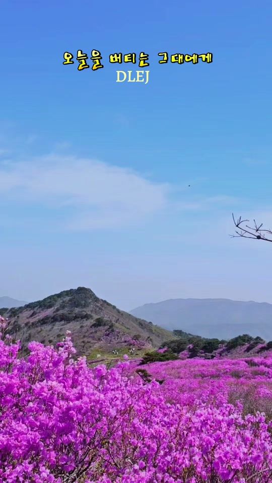 TikTok video thumbnail by jjh6200