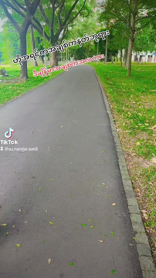 TikTok video thumbnail by su.nandar.aye8