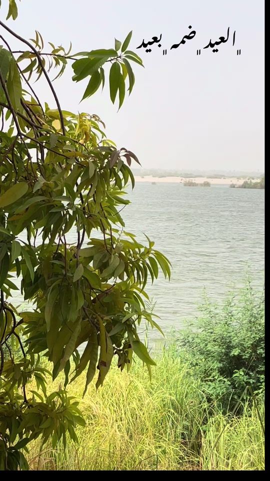 TikTok video thumbnail by wagdi73