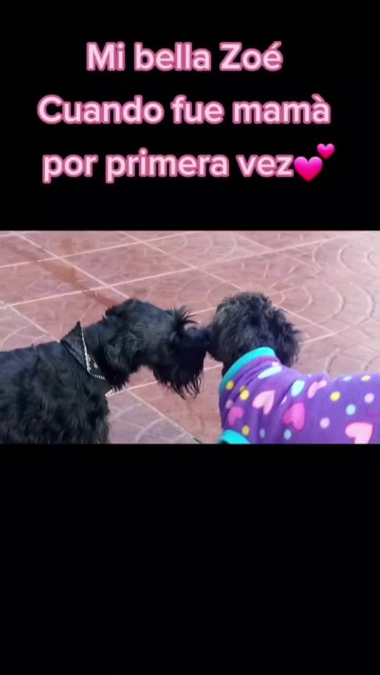 TikTok video thumbnail by karito_valenzuela_01