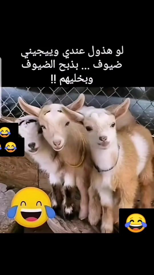 TikTok video thumbnail by rania_az2022
