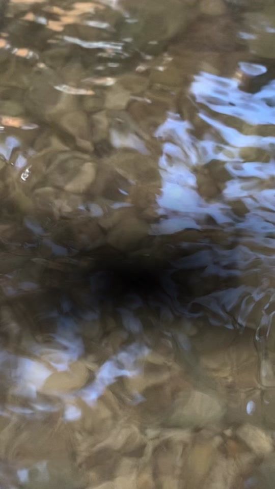 TikTok video thumbnail by issam.alsela