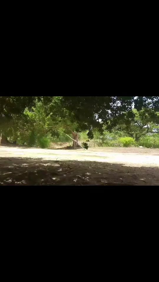 TikTok video thumbnail by .comllaneradecorazon