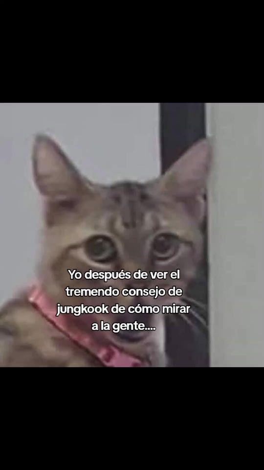 TikTok video thumbnail by nahokitamiya0