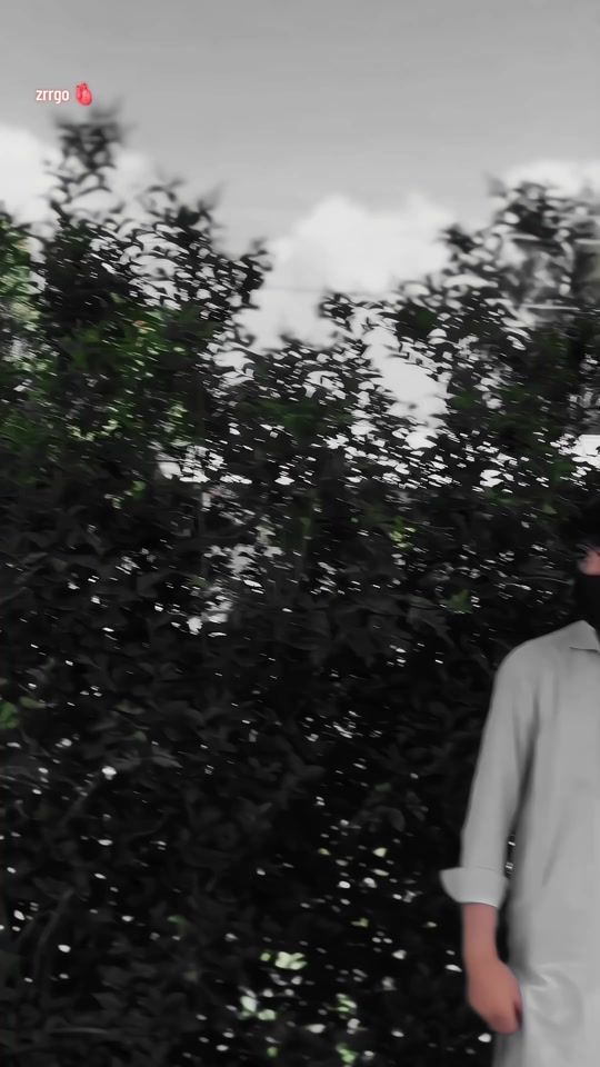 TikTok video thumbnail by nasir_chamkani