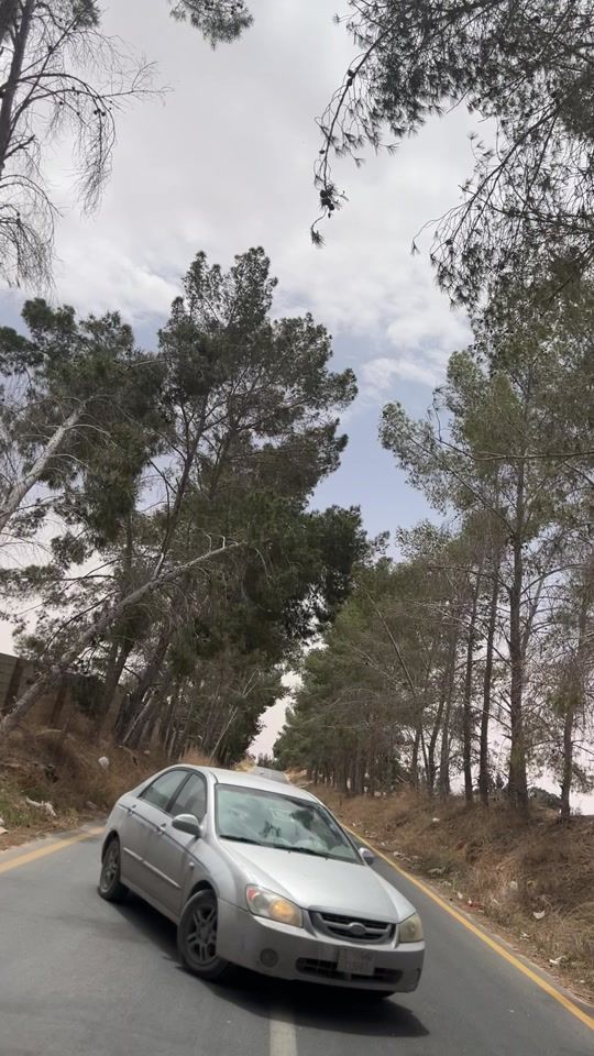 TikTok video thumbnail by al.8_