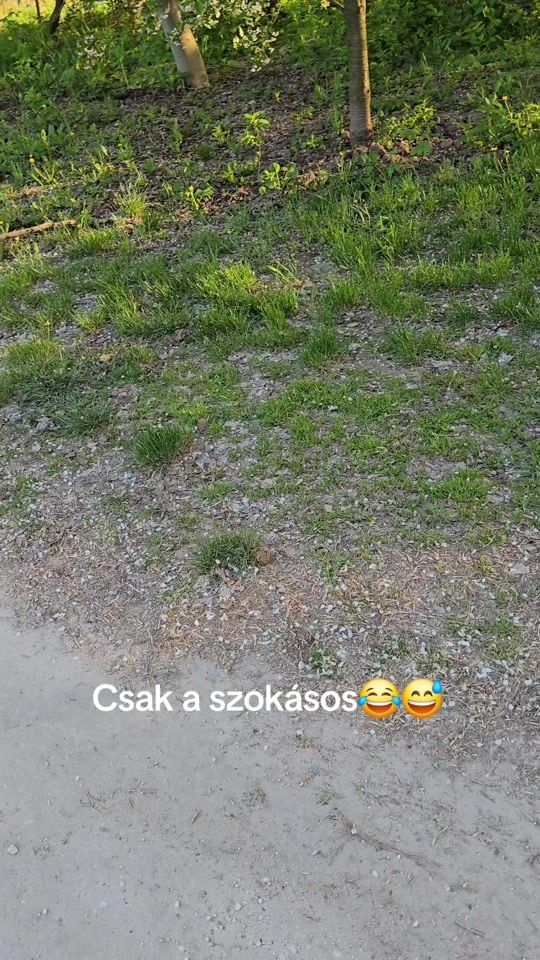 TikTok video thumbnail by budai.danny