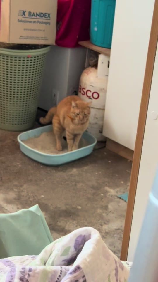 TikTok video thumbnail by aresignacio