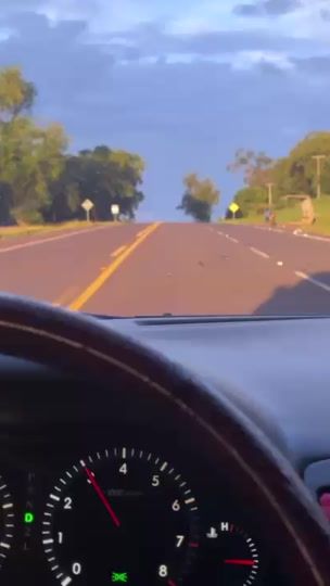 TikTok video thumbnail by paolabe13