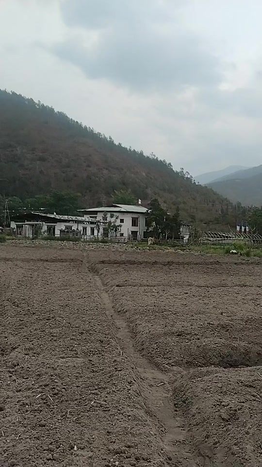 TikTok video thumbnail by lhamo031