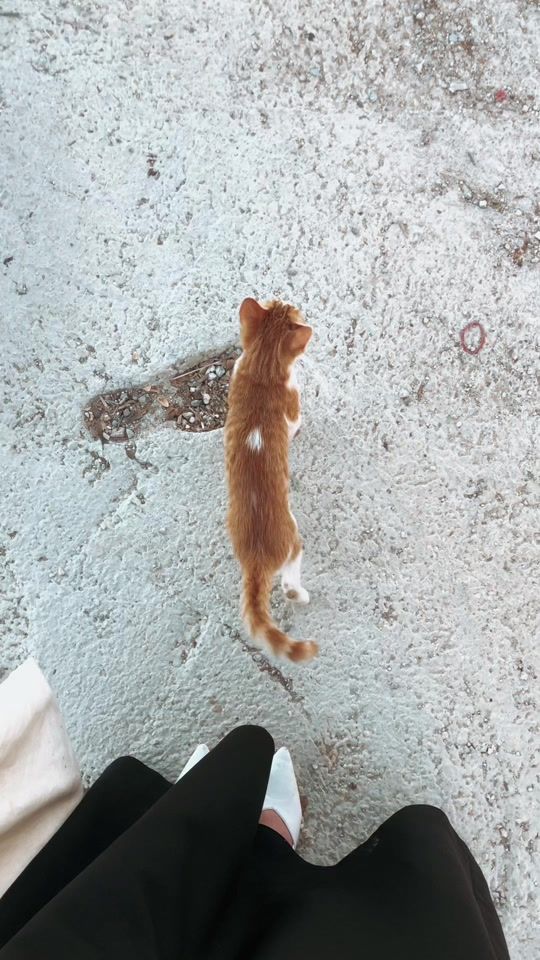 TikTok video thumbnail by rawangh45