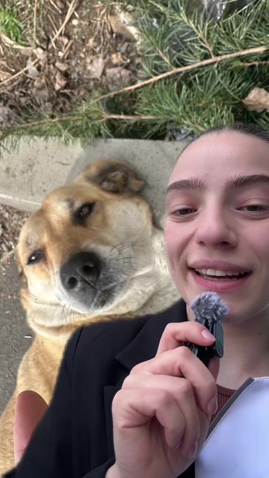 TikTok video thumbnail by ellenetskhadadze