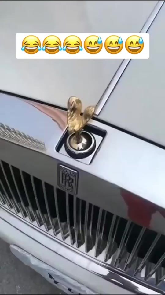 TikTok video thumbnail by nam120367