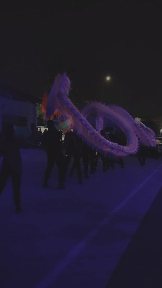 TikTok video thumbnail by tenggheeliondragon