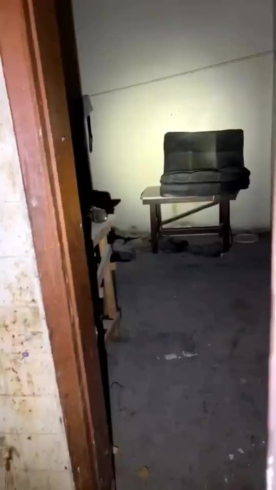 TikTok video thumbnail by islamtichi