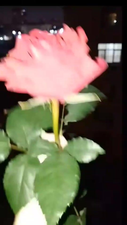 TikTok video thumbnail by o_z_r_a