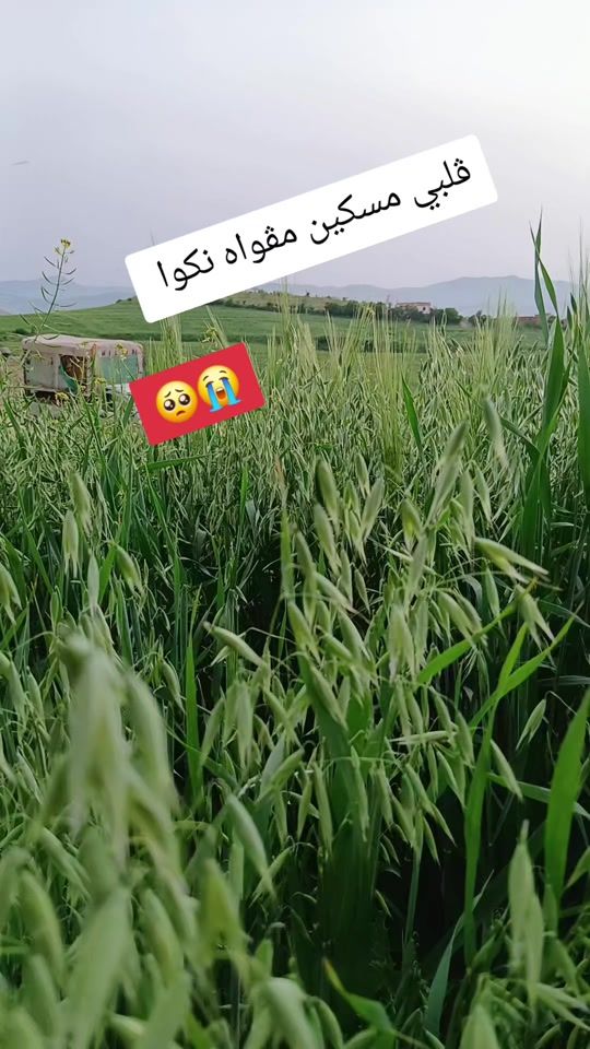 TikTok video thumbnail by m.b.s467