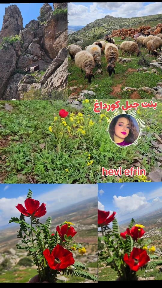 TikTok video thumbnail by hevi_efrin