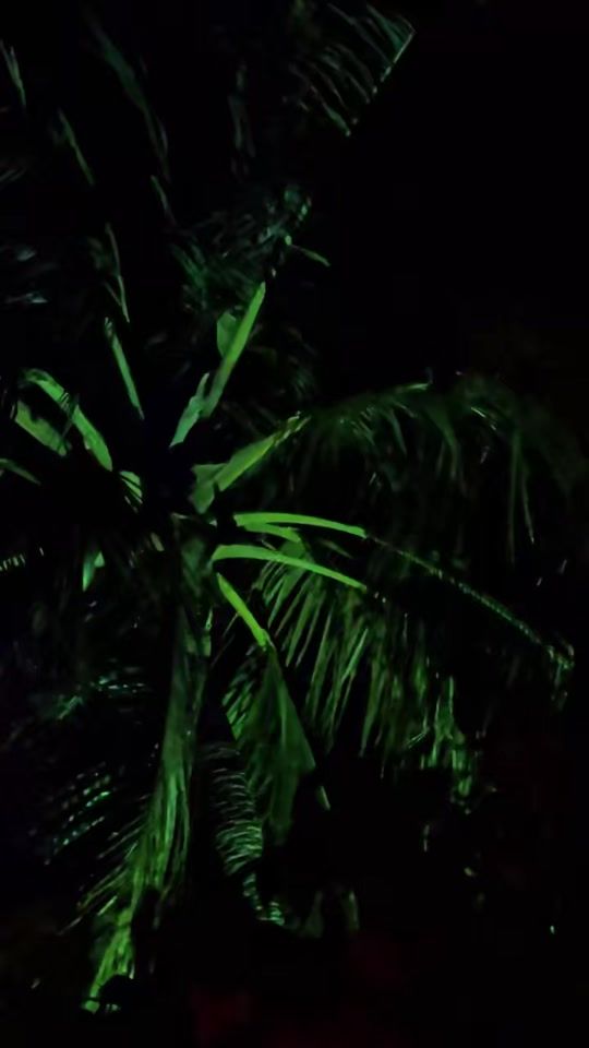 TikTok video thumbnail by goldenskyvisuals