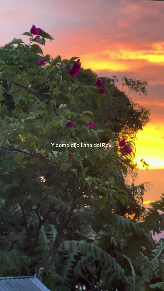 TikTok video thumbnail by yeocob34