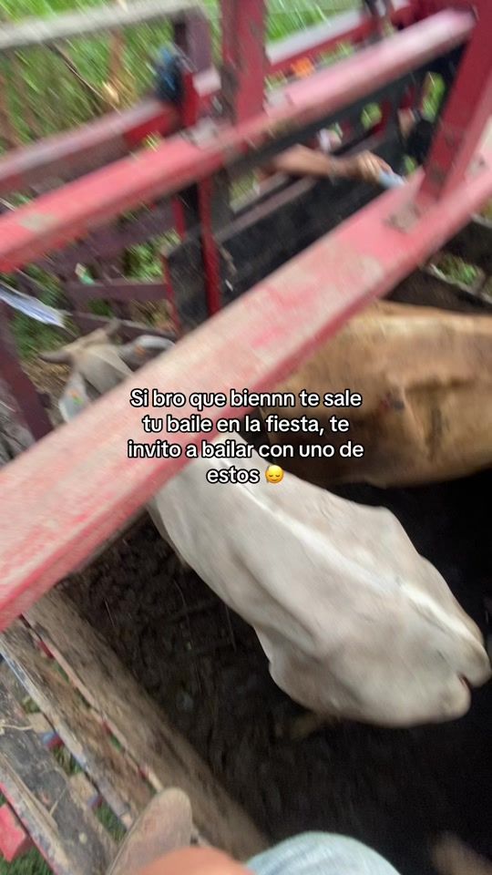 TikTok video thumbnail by _eduardoangulo_