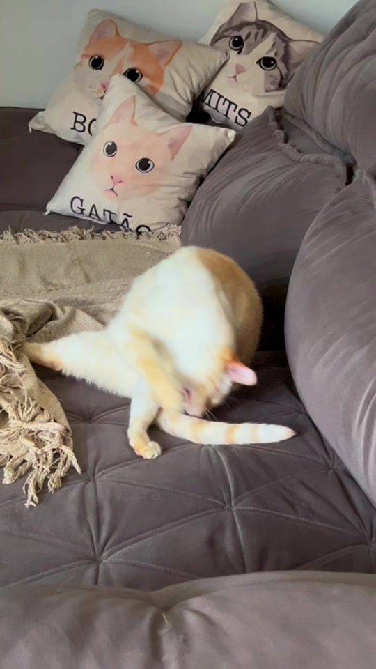 TikTok video thumbnail by rafadomika