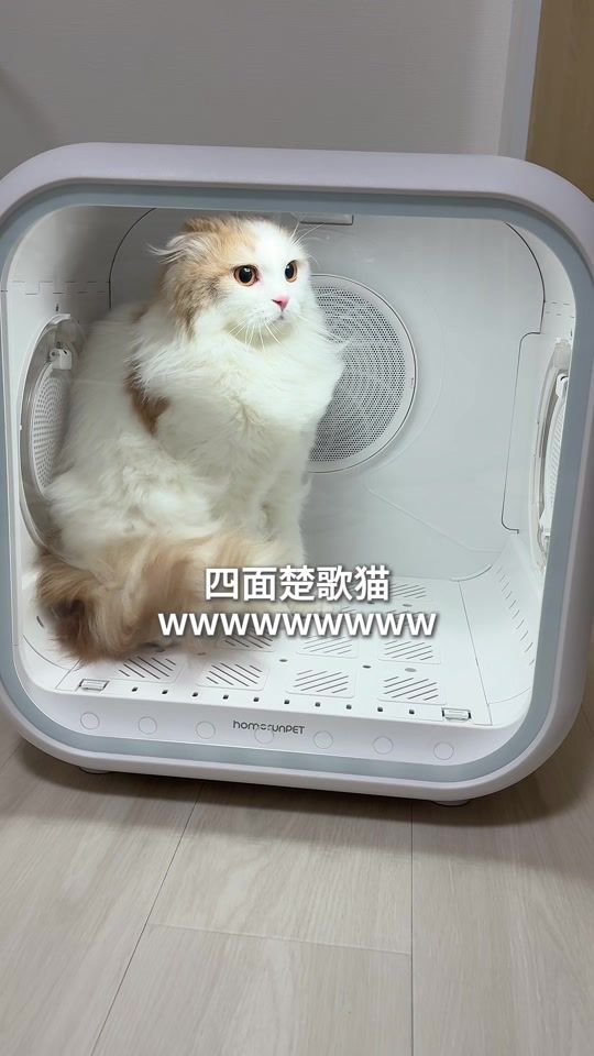 TikTok video thumbnail by gabu.latte