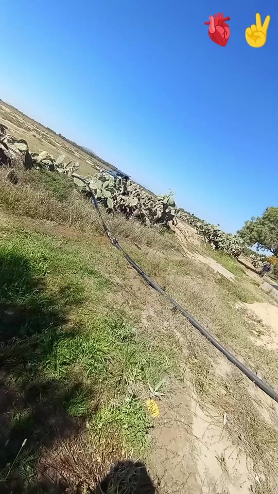 TikTok video thumbnail by jasserjasser40