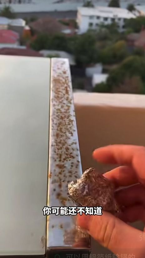 TikTok video thumbnail by hlvi.1208