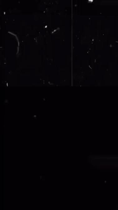 TikTok video thumbnail by premik_chacchu