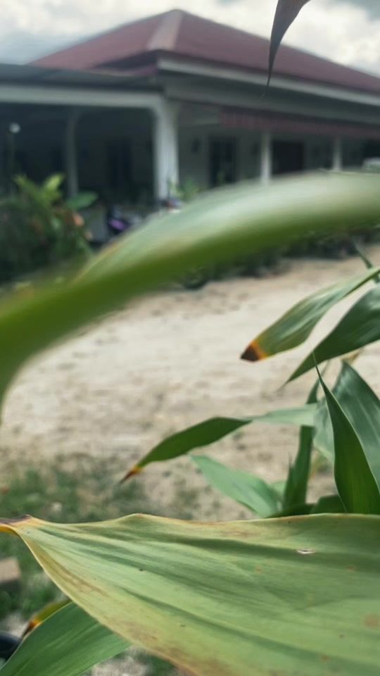 TikTok video thumbnail by theoneandonyslamet