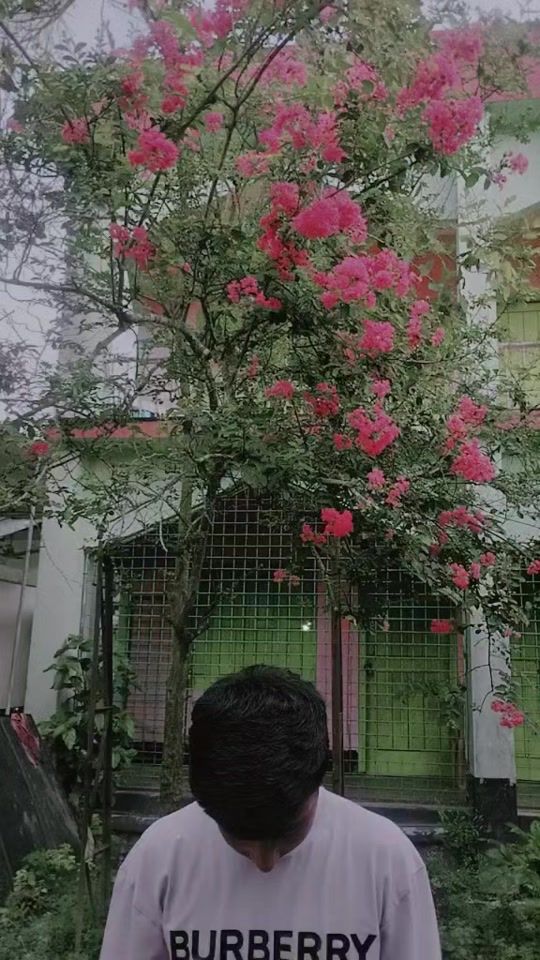 TikTok video thumbnail by ex.arafat_