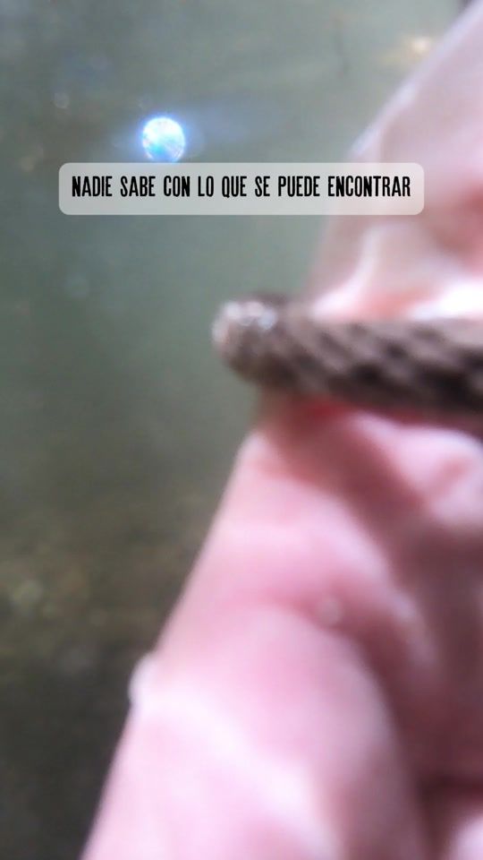 TikTok video thumbnail by 5tierras